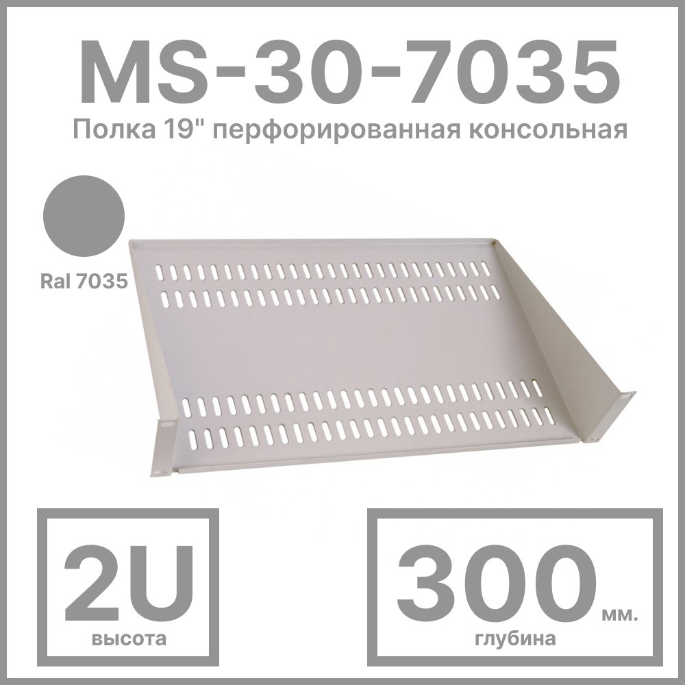 RC19 MS-30-7035 Полка 19